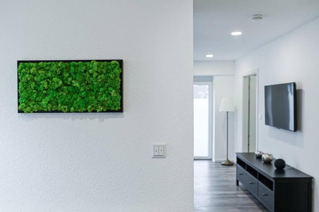 Ferienhaus Kopf In Bad Buchau Buitenkant foto